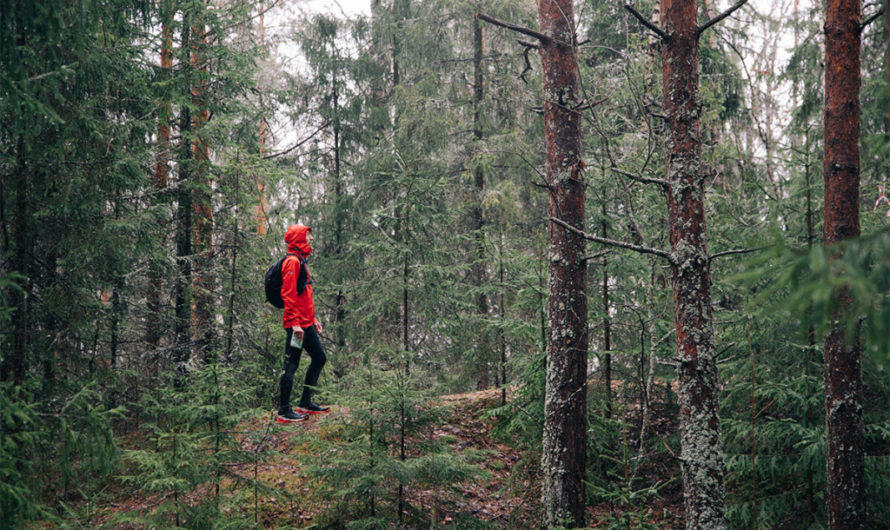 Сонник: Заблудиться