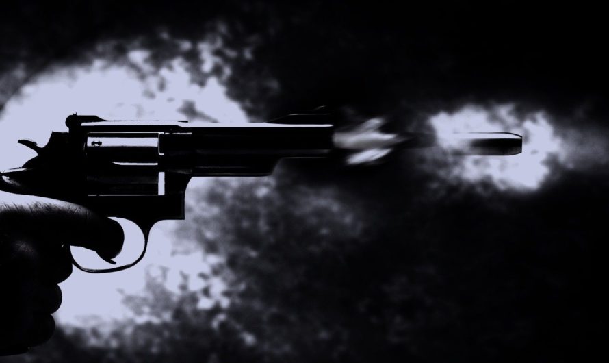 Сонник: Выстрел