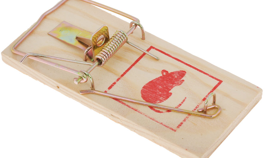 Сонник Мышеловка