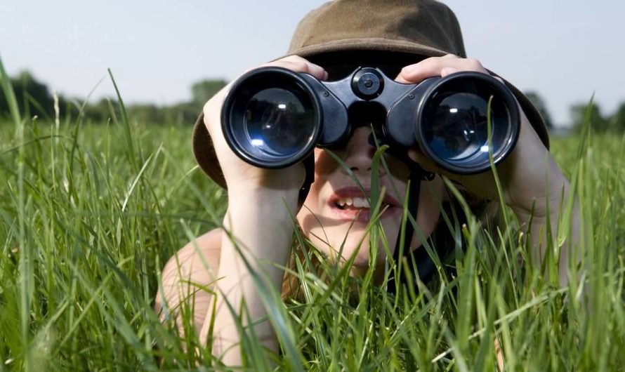 Сонник Наблюдать