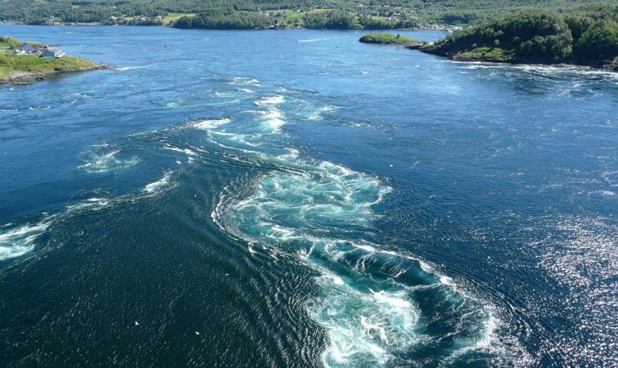 Сонник Течение