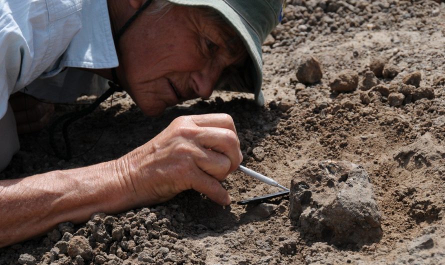 Сонник Обнаружить