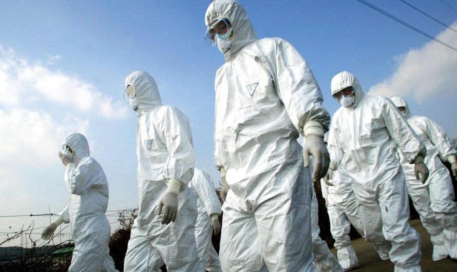 Сонник: Эпидемия