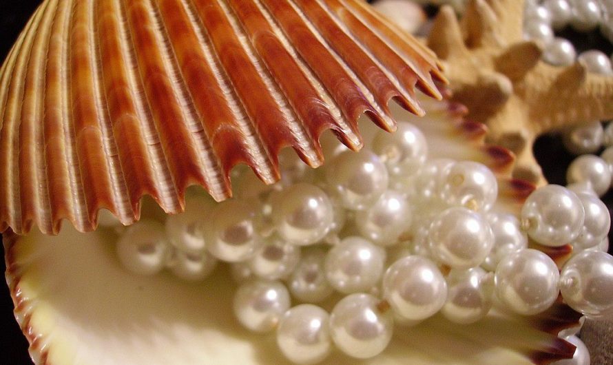 Толкование снов с Жемчугами