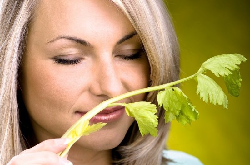 Сонник: Запах