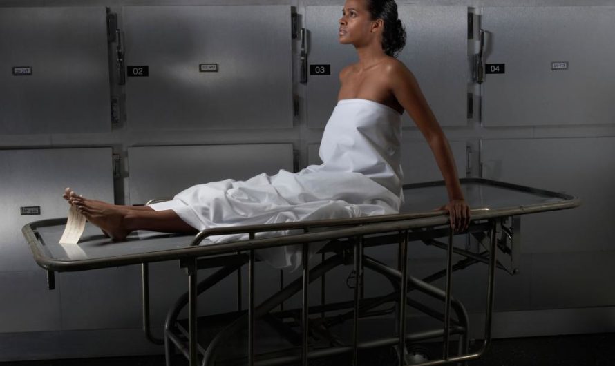 Сонник Оживать Ожил