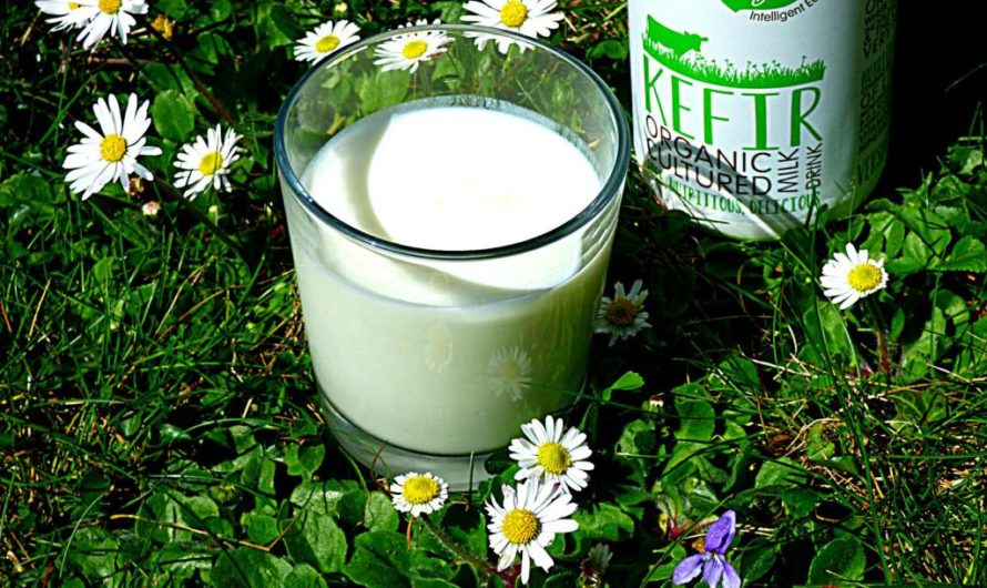 Кефир: калории