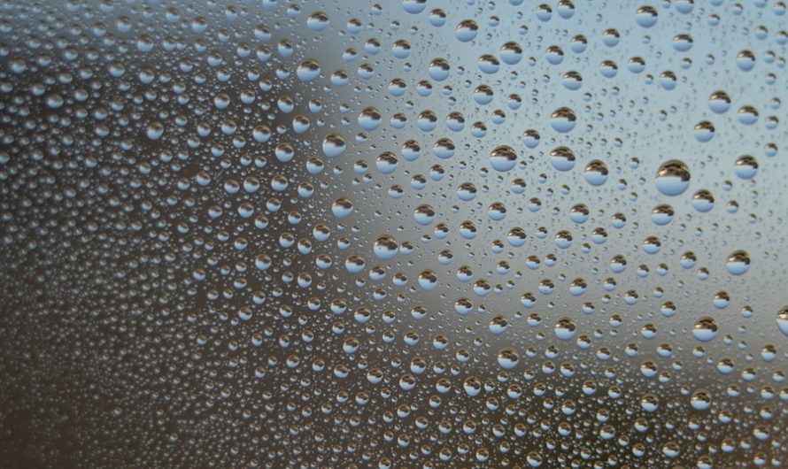 Сонник Сырость