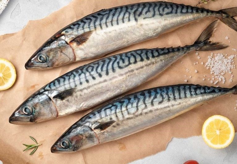 Сонник Скумбрия