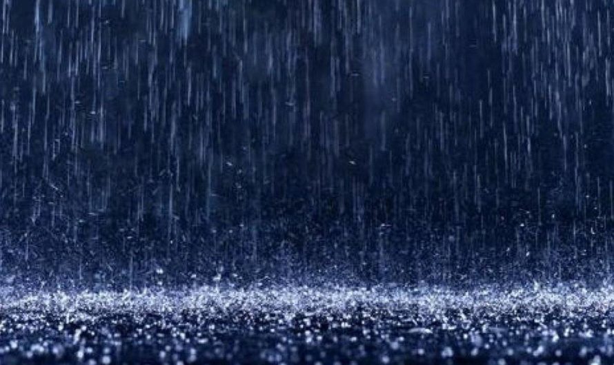 Мне приснился шум дождя