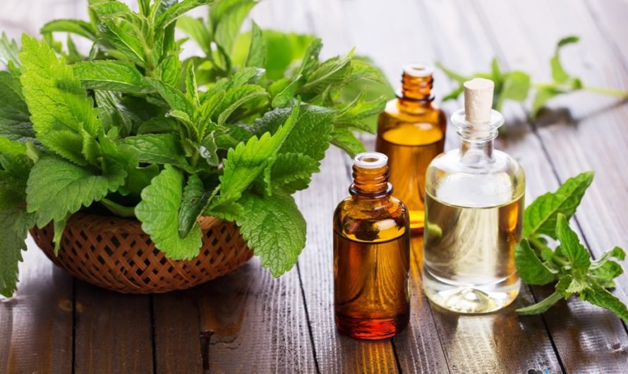Эфирное масло мяты