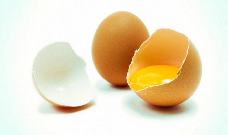 Сонник Сырое