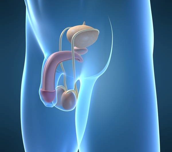 Сонник — Половой толкование Полового