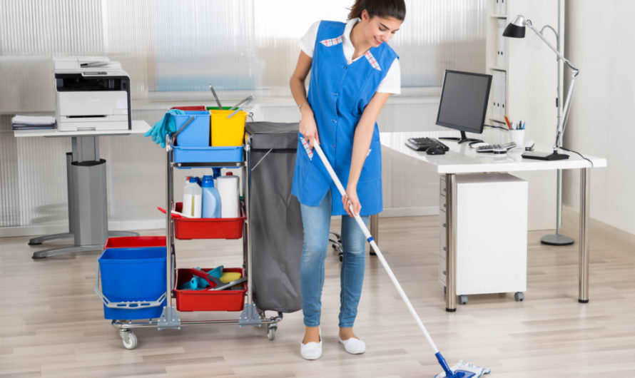 Сонник: Уборщица