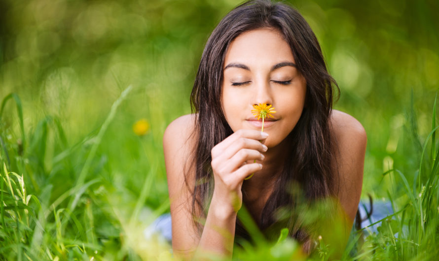 Сонник Нюхать