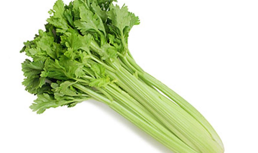 Сонник Сельдерей