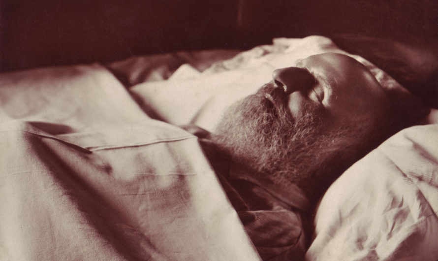 Приснилось Умерший живым Сонник