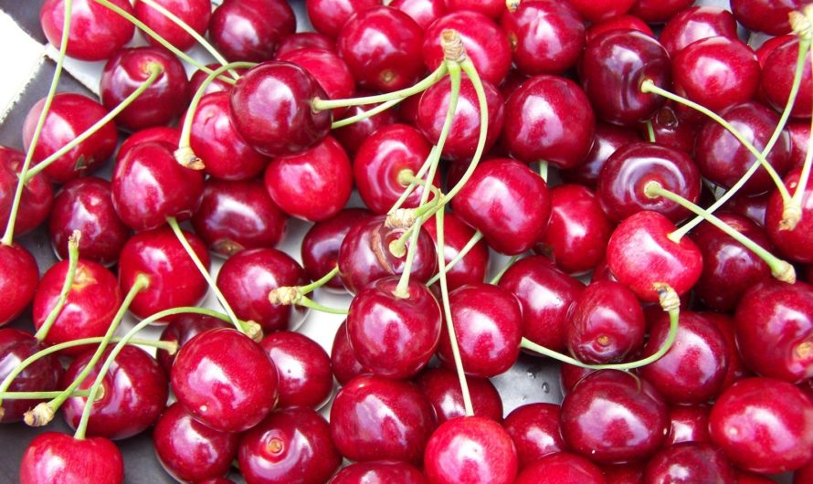 Вишня: калории