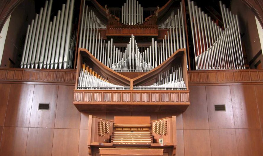 Сонник — Орган толкование Органа