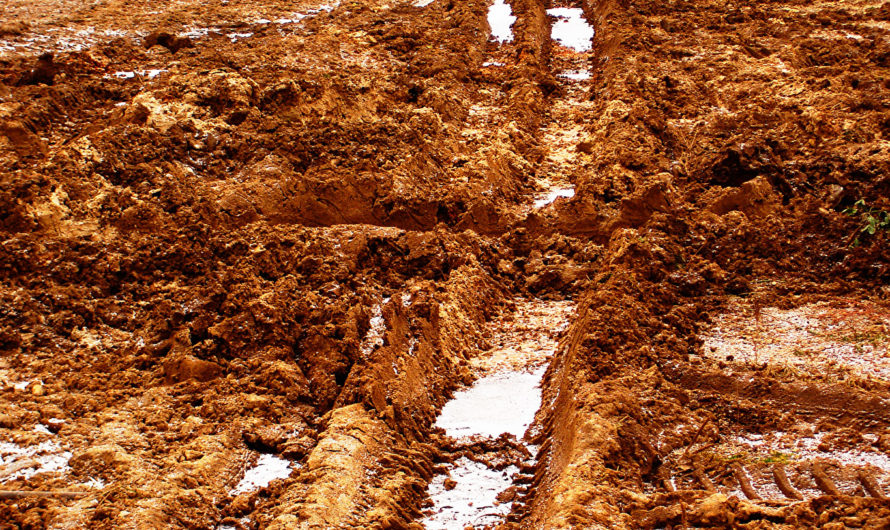 Приснилась Грязь Сонник