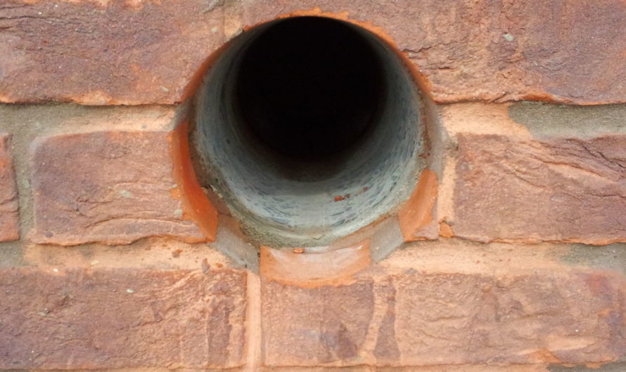 Сонник Отверстие