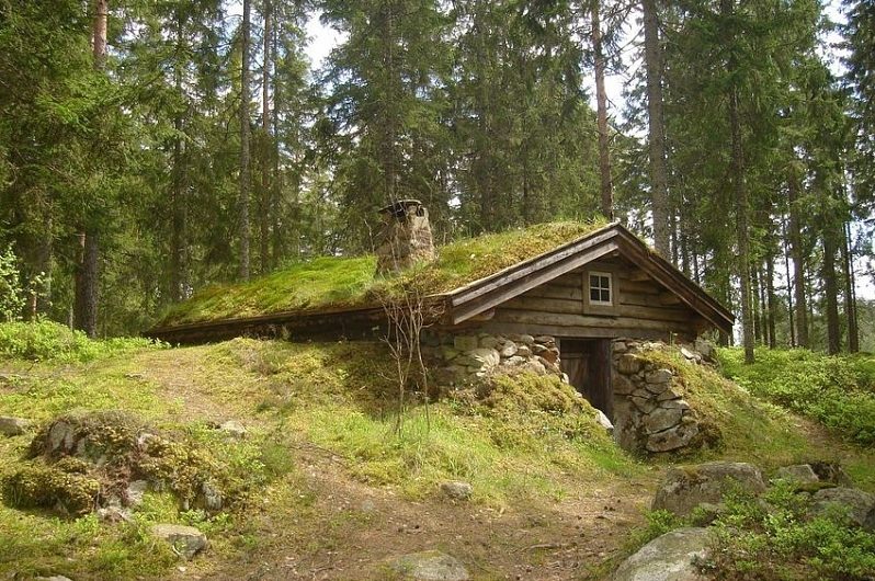 Сонник Землянка