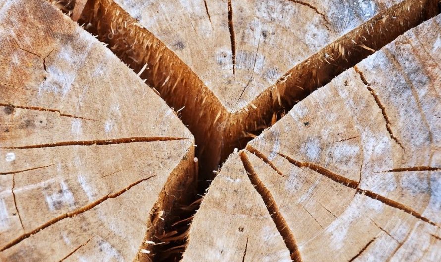 Сонник:Трещина