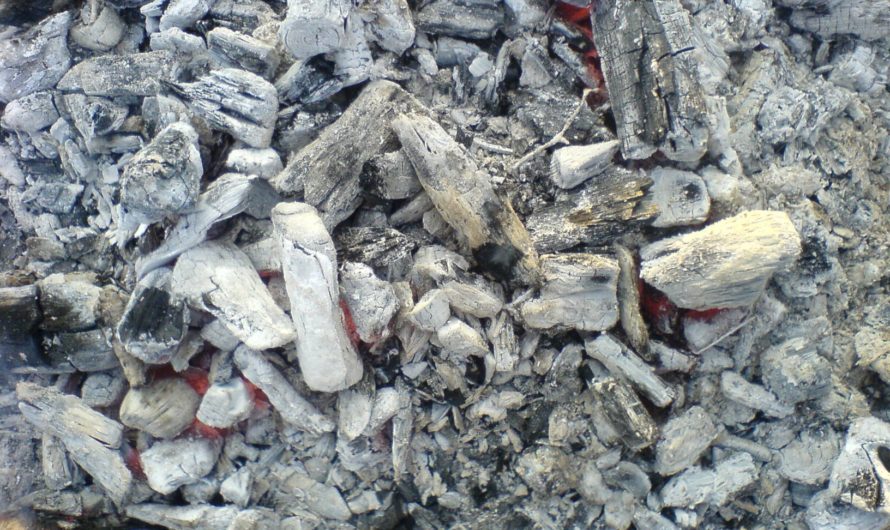 Сонник: Зола