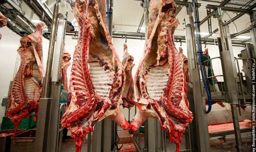 Сонник: Туша