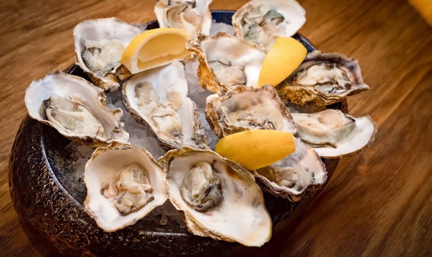 Сонник: Устрицы