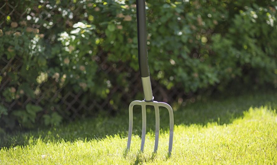 Сонник: Вилы