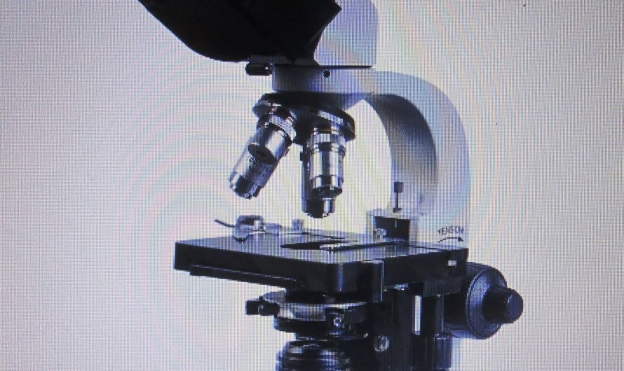 Сонник Микроскоп