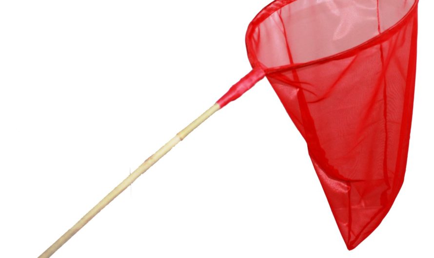 Сонник Сачок