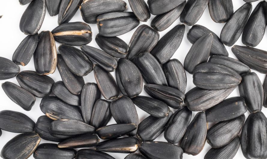 Сонник Семечки