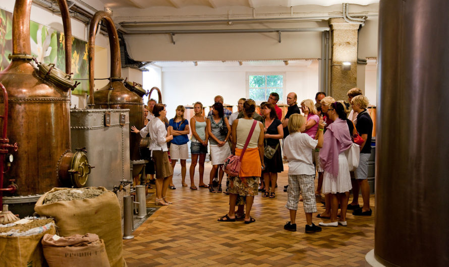 Сонник: Экскурсия