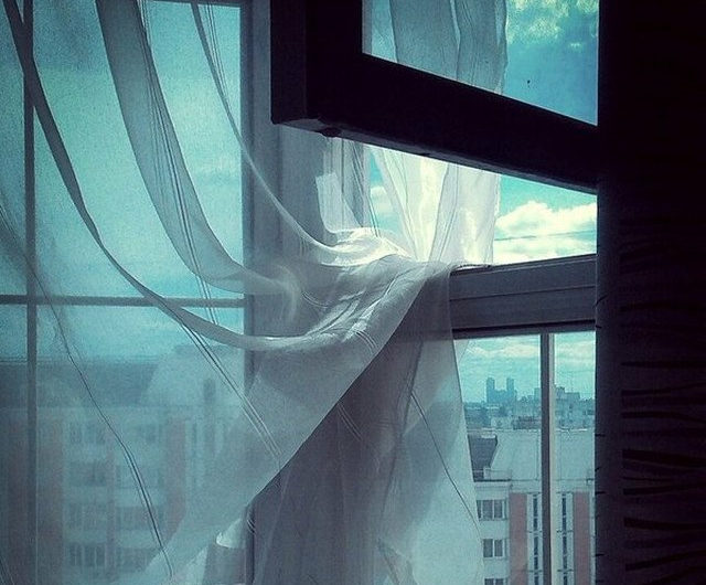 Сонник Сквозняк