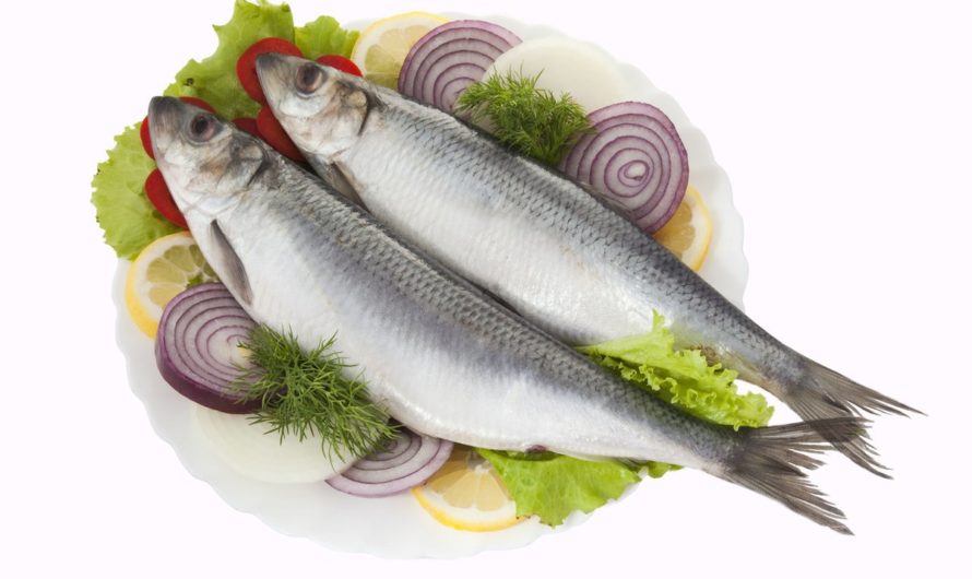 Сонник Селедка