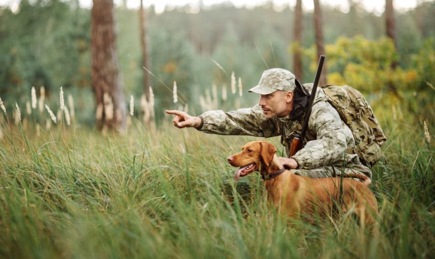 Сонник Охота