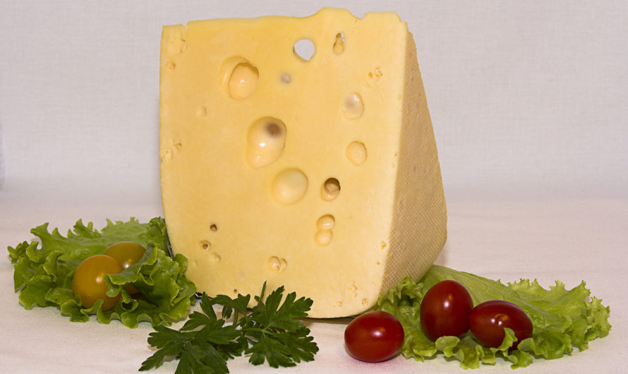 Сыроедческий сыр