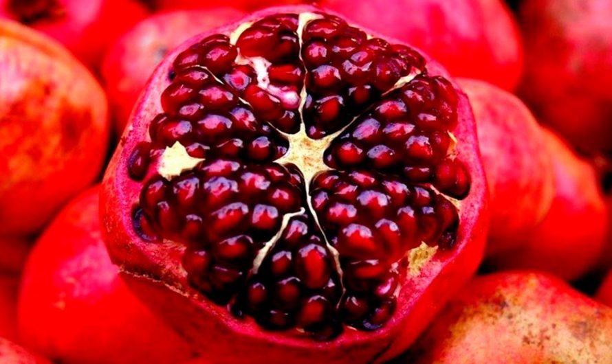 Гранат: калории