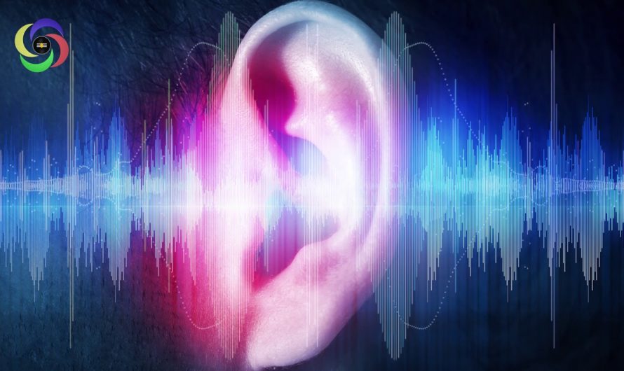 Сонник: Звуки