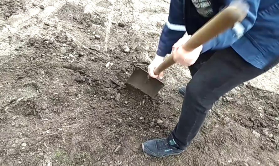 Сонник: Засыпать что-либо