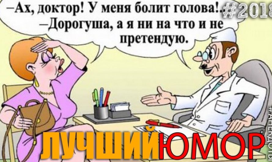 Новые анекдоты: лучшее