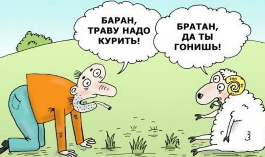 Смешные анекдоты про евреев до слез