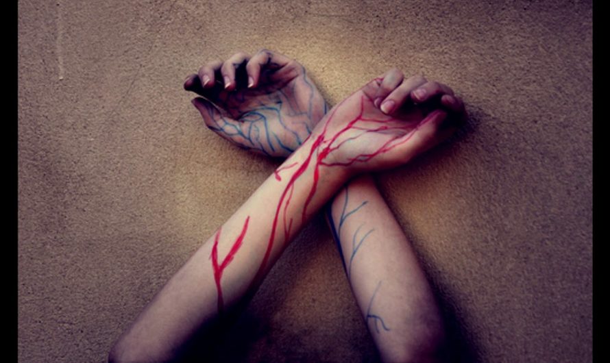 Сонник: Вены