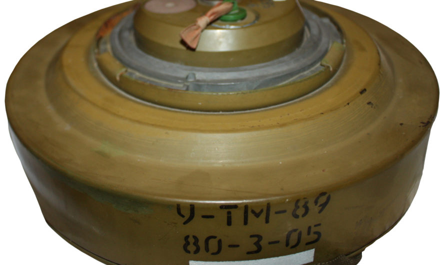 Сонник Мина