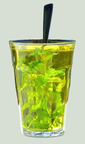 Настойка мяты