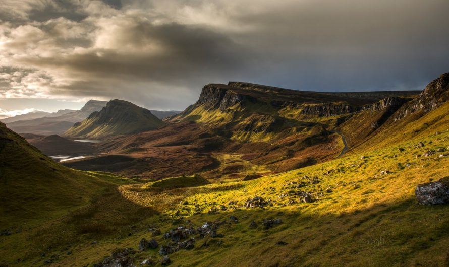 Сонник Склон