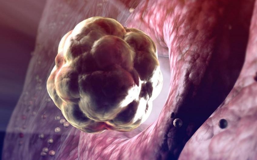 Овуляция рассчитать дни