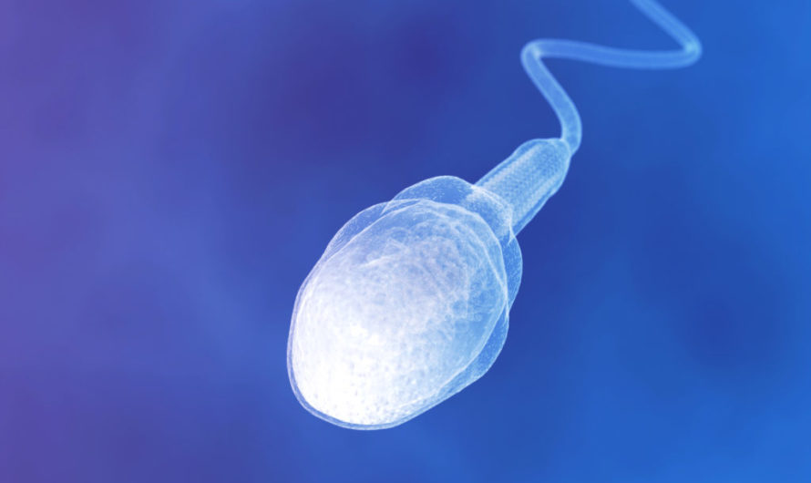 Сонник Сперма — толкование спермы во сне